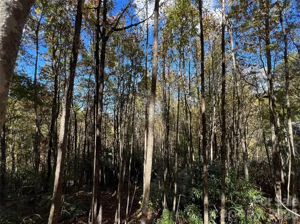 0 Wild Magnolia Way #46, Zirconia, NC 28790