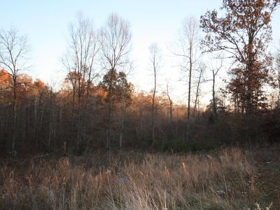 16 Grant Ridge Rd, Leitchfield, KY, 42754
