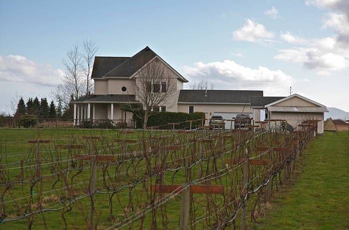 Vineyard