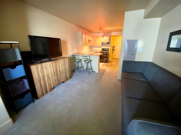 2525 Cattle Kate Cir Unit 4208, Steamboat Springs, CO 80487