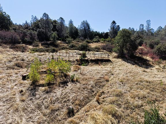 4th image of 31815 Forward Rd