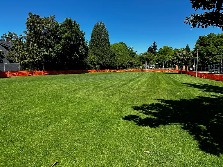 School Field