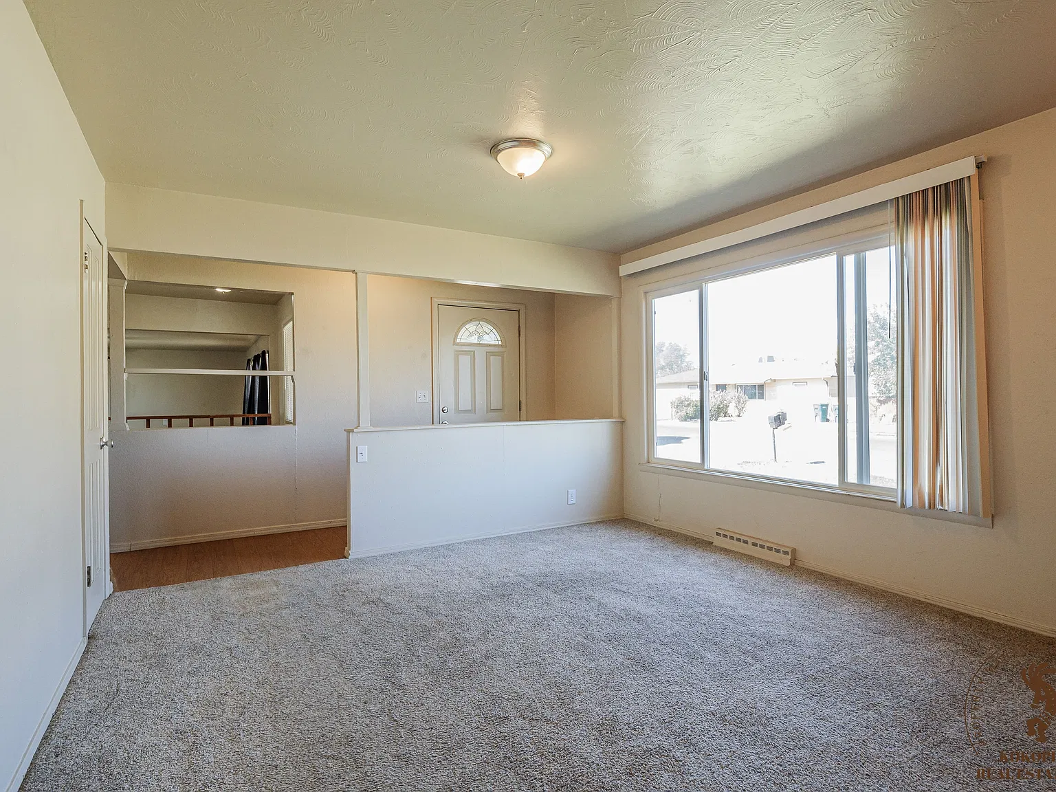 2921 Rhonda Lee Rd - 1 — Photo 4