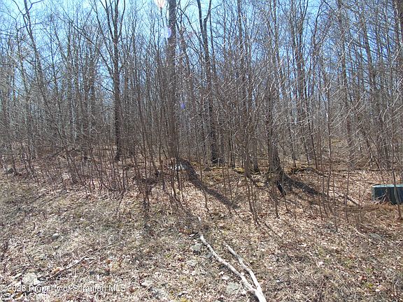 2nd image of 145 Summit Woods Rd