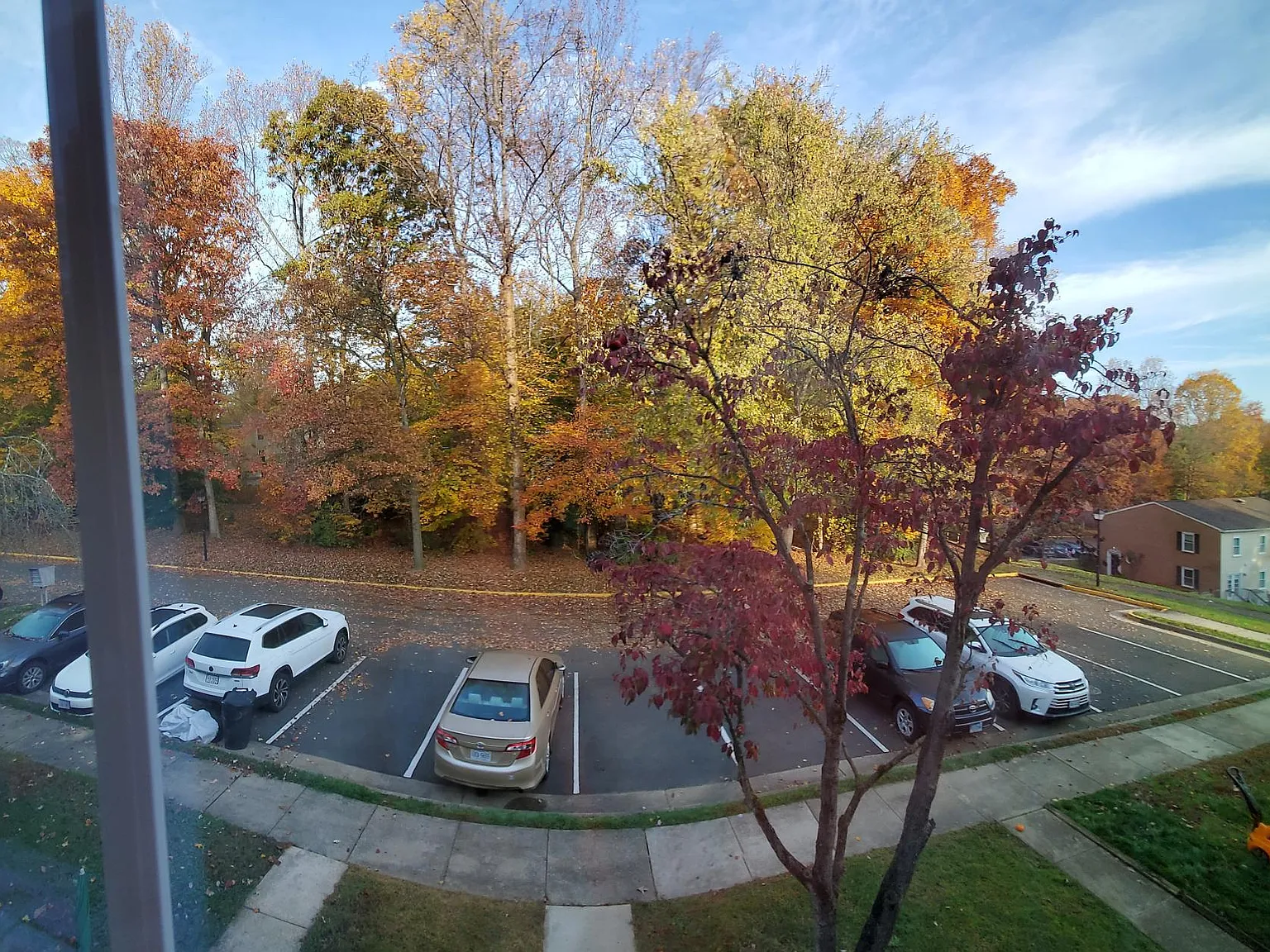6495 Ohara Ct — Photo 3