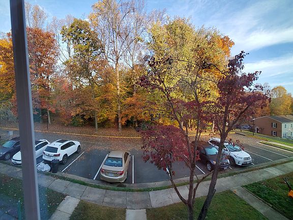 View in Front of the House