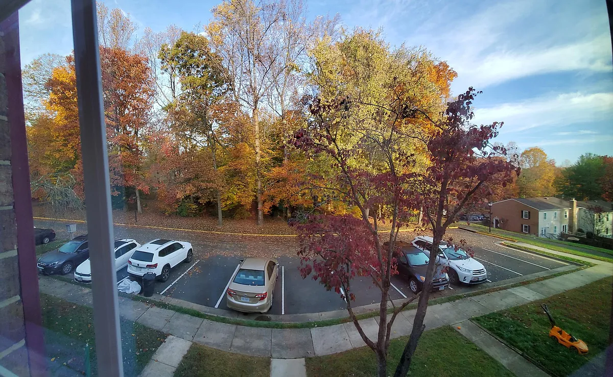 View in Front of the House - 6495 Ohara Ct