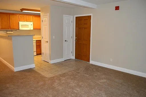 1 bed, 750 sqft, $1,250 — Photo 3