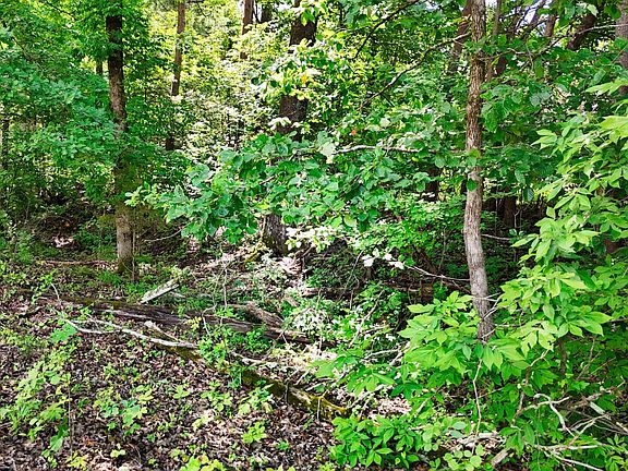 4th image of 1 Post Oak Dr Lot 1