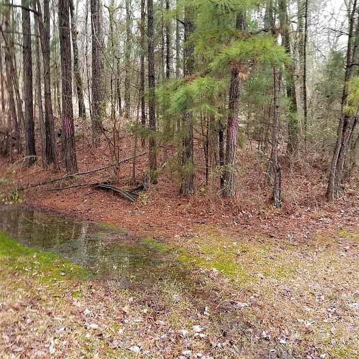 2nd image of 5810B Airport Rd