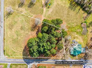 Bingham Ave, Olanta, SC 29114