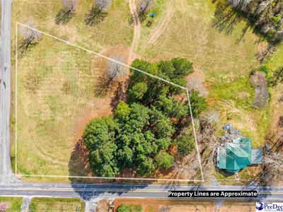 Bingham Ave, Olanta, SC, 29114
