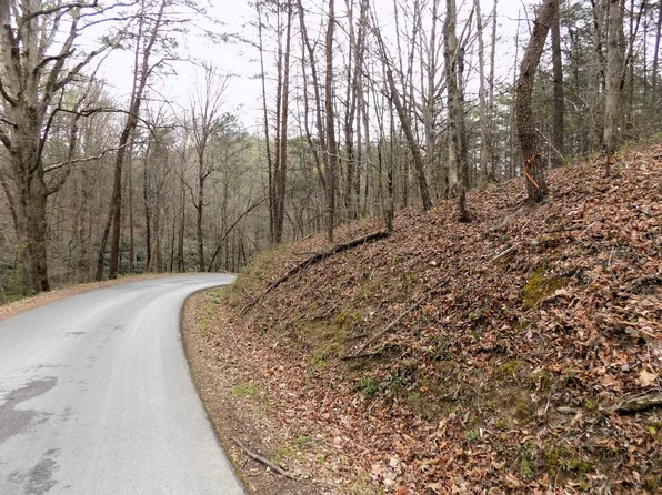 Multi Par Deerfoot Rd, Cosby, TN 37722