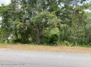 11262 Little Gull Rd, Brooksville, FL 34614