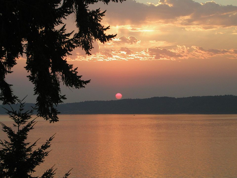 Beautiful Views of Sound