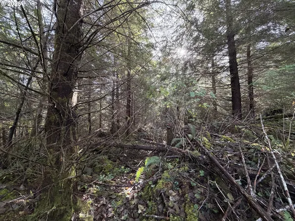 Necanicum Hwy, Seaside, OR 97138