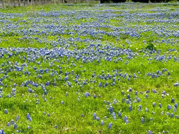 1505 McElroy Ln, New Ulm, TX 78950