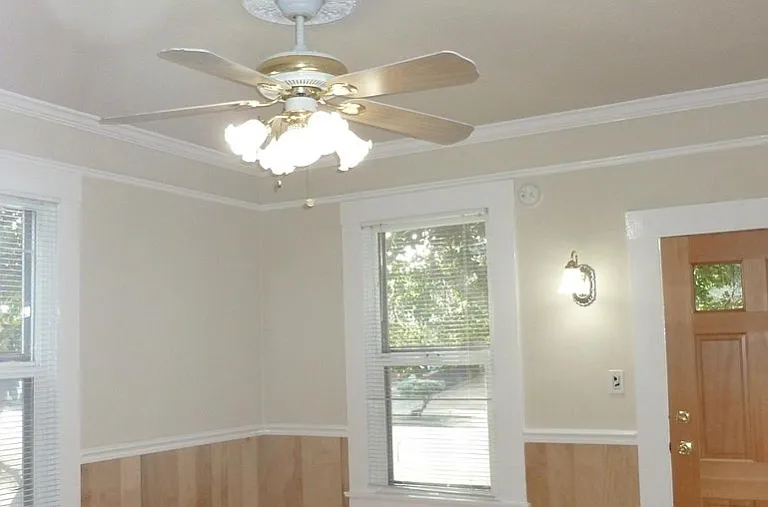 Ceiling fan
