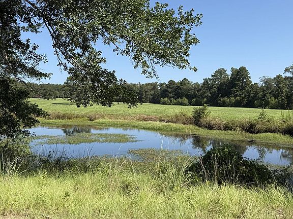 4th image of 1289 Campsprings Rd