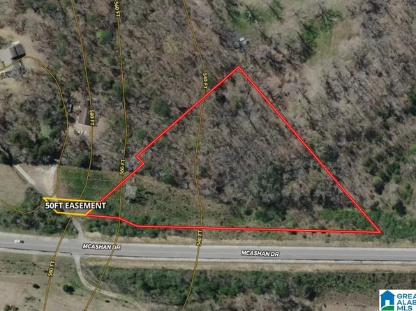 5600 McAshan Dr #3.8 Acres, Mc Calla, AL 35111
