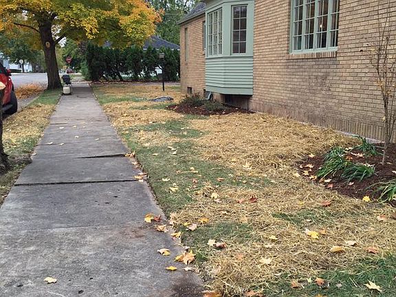 D Street Sidewalk View