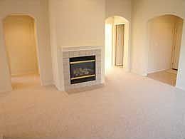 Living Room and Fireplace