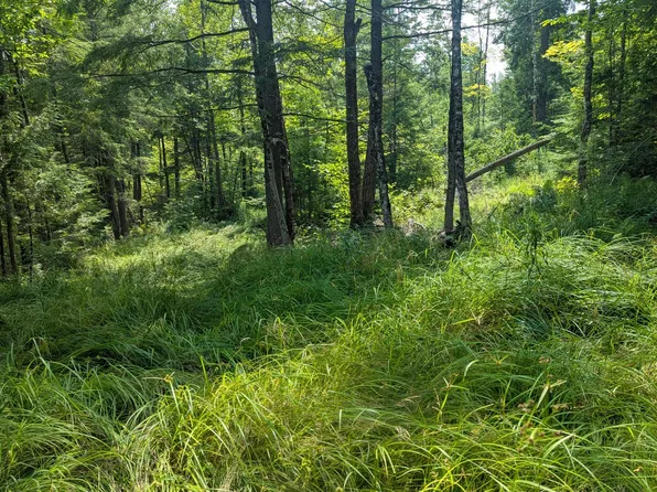 M15 L17 Quincy Woods Road, Anson, ME 04911