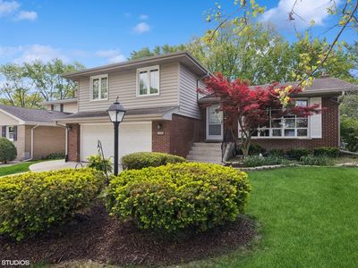 1335 Idlewild Ln, Homewood, IL, 60430