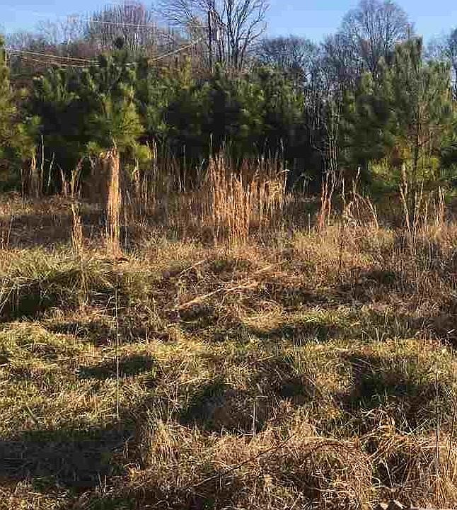 2nd image of 0 Mill Rd
