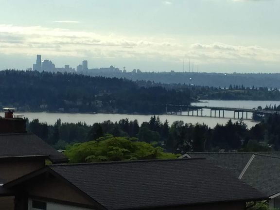 Lake Washington view