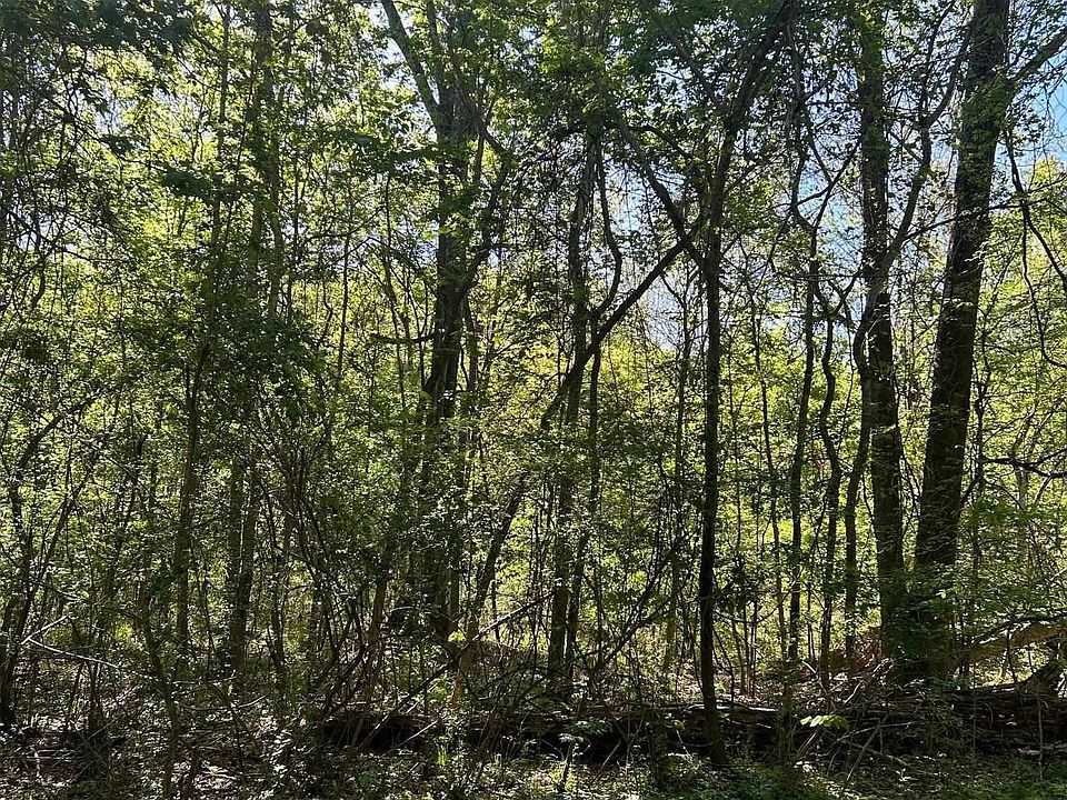 2nd image of Airport Rd