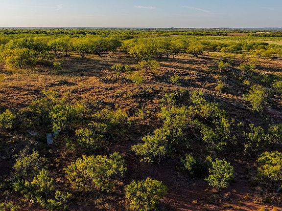 Walker Road Ranch, mature mesquite trees, hardwood trees, ponds, native grasses, electric