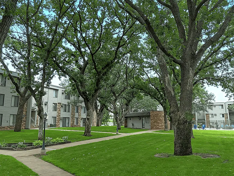 Mature Trees Throughout