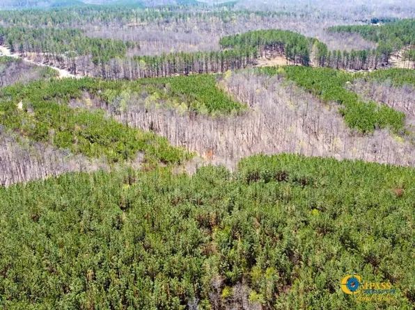 Paved Road Frontage, Hohenwald, TN 38462