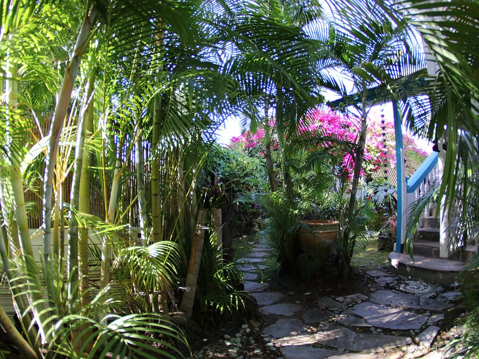 through the garden pathway to the secret cottage hidden in the back of the property~