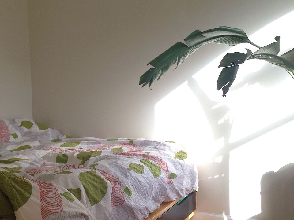 1st image of 279 Macon St APT 4