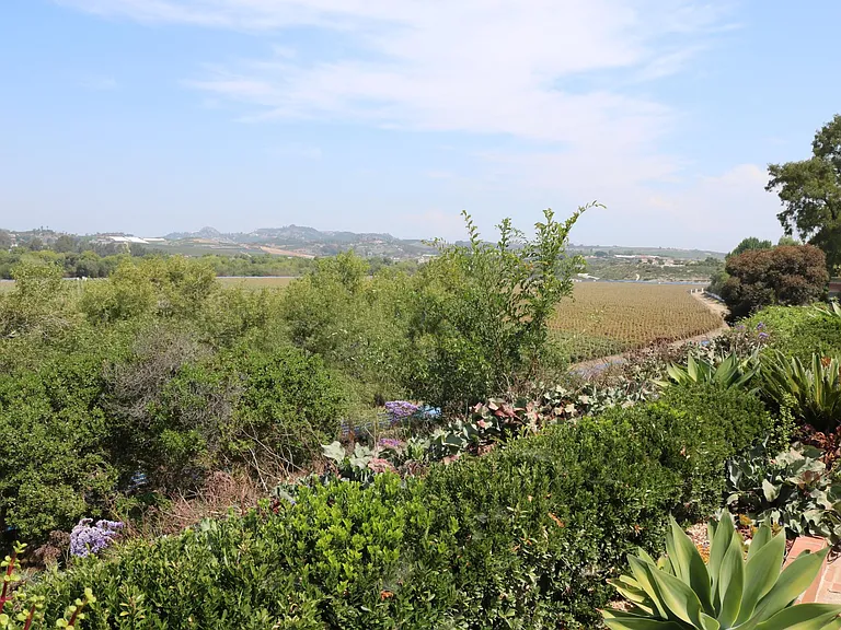 5364 Gooseberry Way — Photo 38