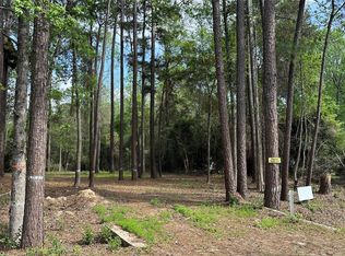 775 Huckleberry Rd, Onalaska, TX 77360