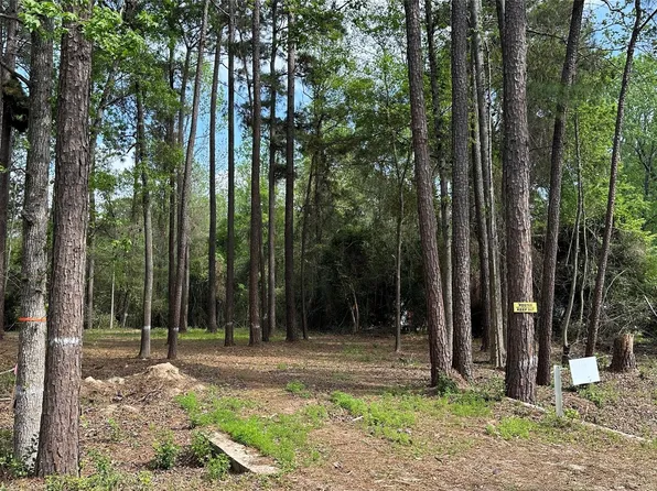 775 Huckleberry Rd, Onalaska, TX 77360