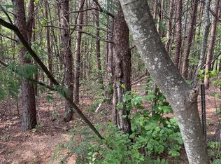 14 Seth Rd, Pigeon Forge, TN 37863