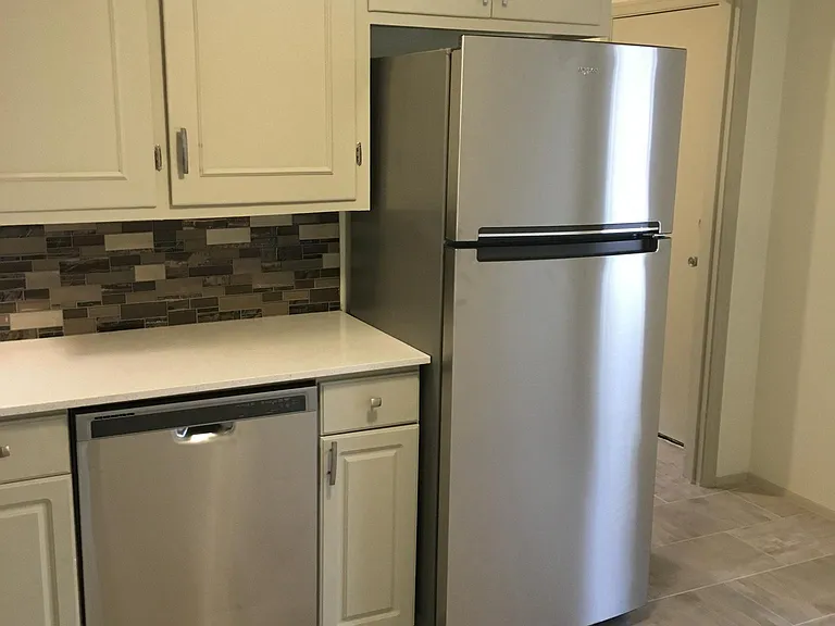 Stainless steel dishwasher and refrigerator
