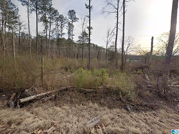 2nd image of 401 Rainwood Lodge Rd
