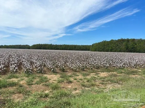 100 Farrar Ln, Atmore, AL 36502