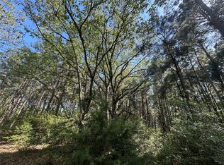 2303 An County Rd, Montalba, TX 75853