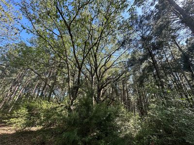 2303 An County Rd, Montalba, TX, 75853