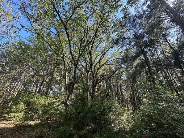 2303 An County Rd, Montalba, TX 75853