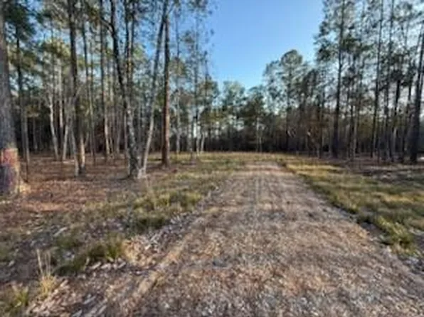 23523 Long Branch Dr, Abita Springs, LA 70420