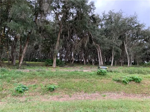 3166 Bright Lake Cir, Groveland, FL 34736