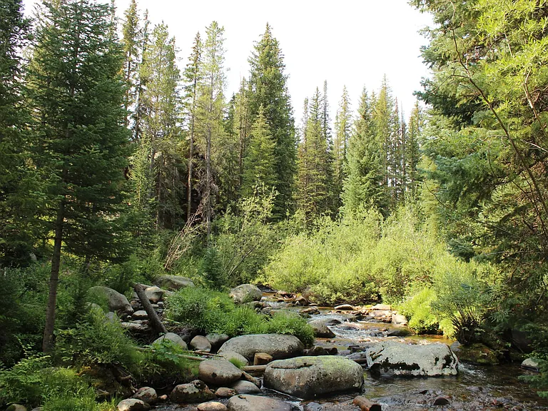 Vasquez Creek from the shared Gazebo.