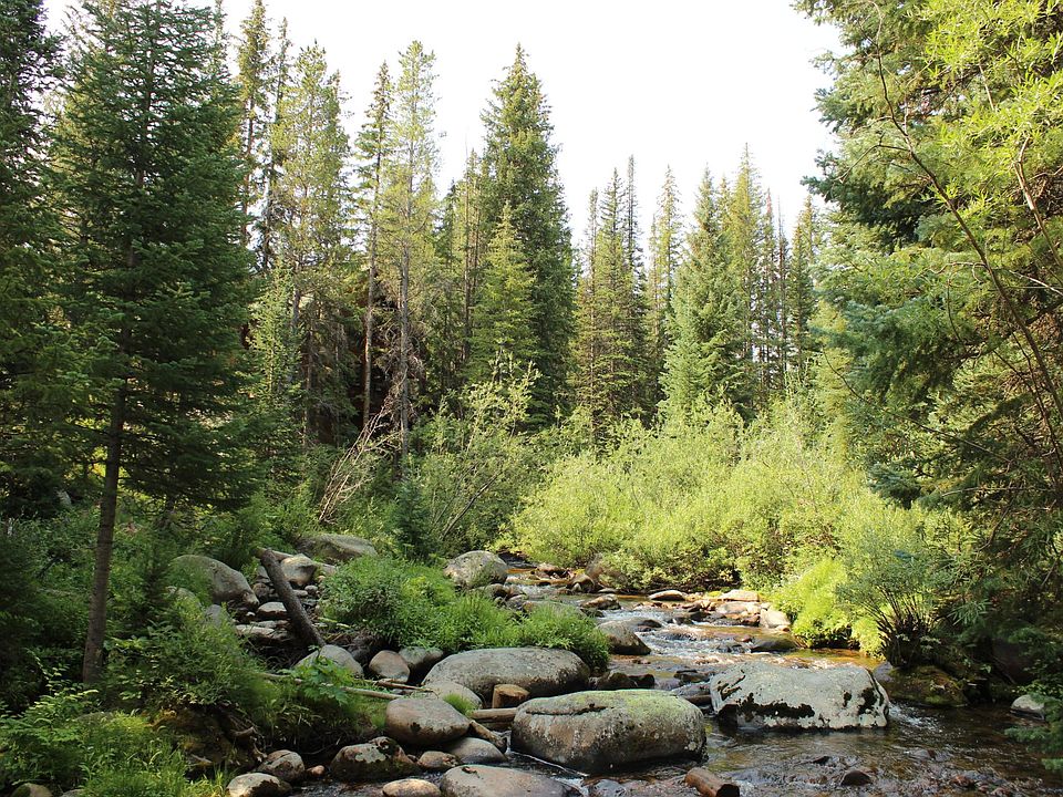 Vasquez Creek from the shared Gazebo.